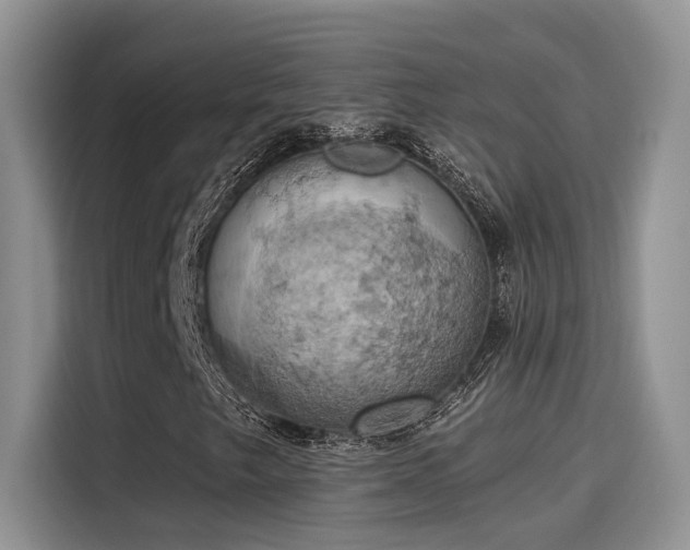 X0000115591249200911171023