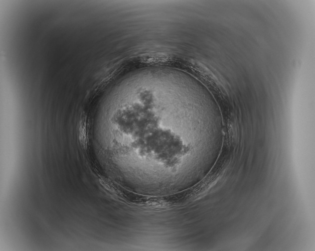 X0000115591250200911171023