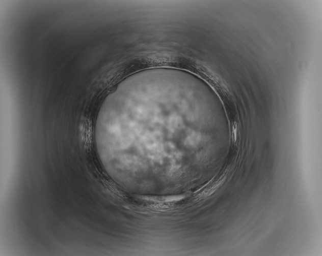 X0000115591251200911171023