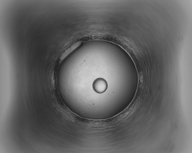X0000115591252200911171023