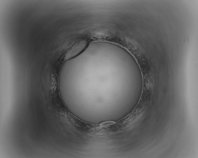 X0000115591253200911171023