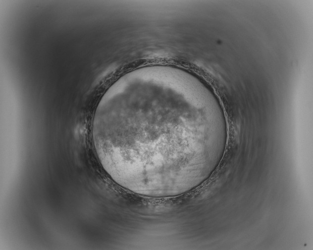 X0000115591254200911171023