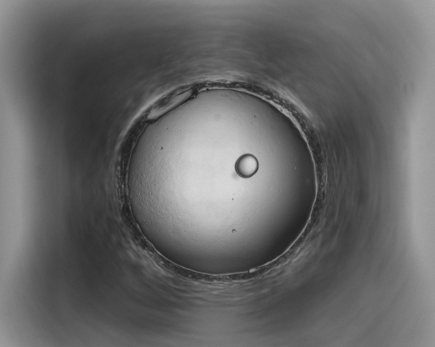 X0000115591256200911171023
