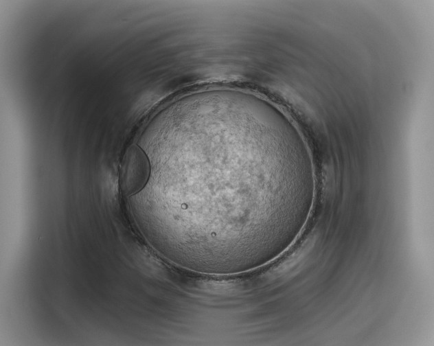 X0000115591257200911171023