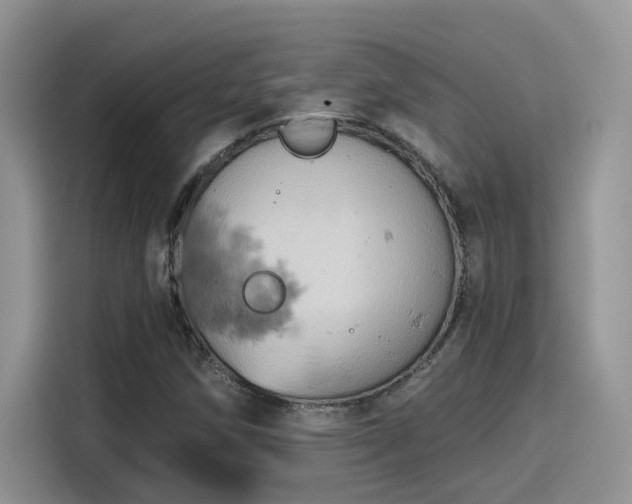 X0000115591258200911171023