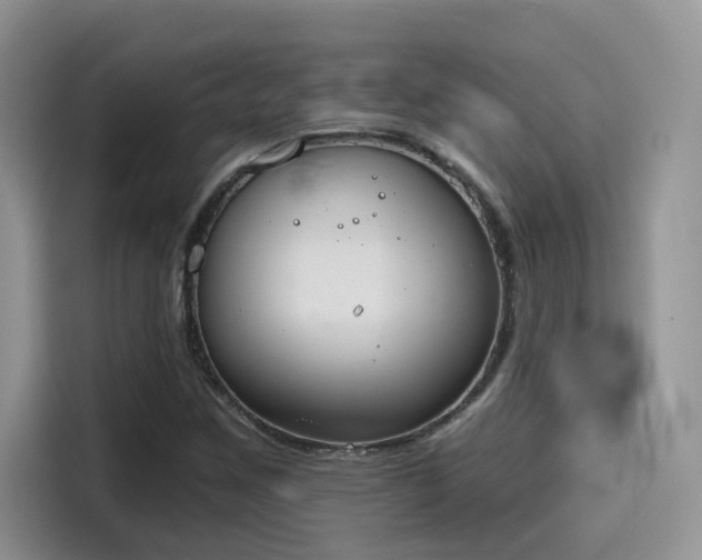 X0000115591259200911171023