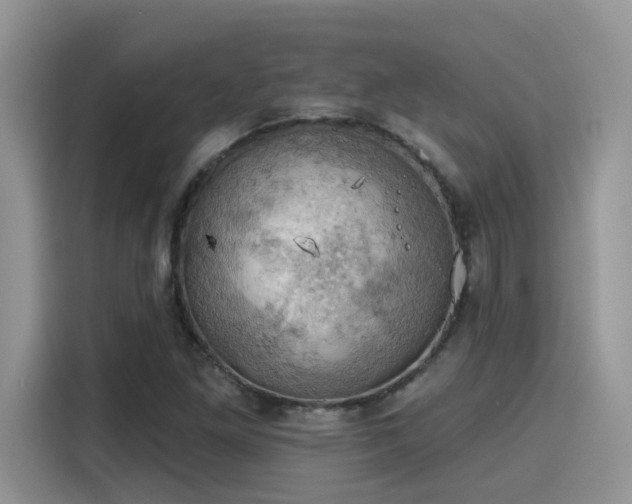 X0000115591261200911171022
