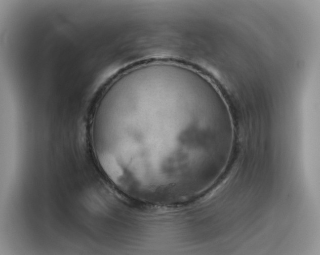 X0000115591263200911171022