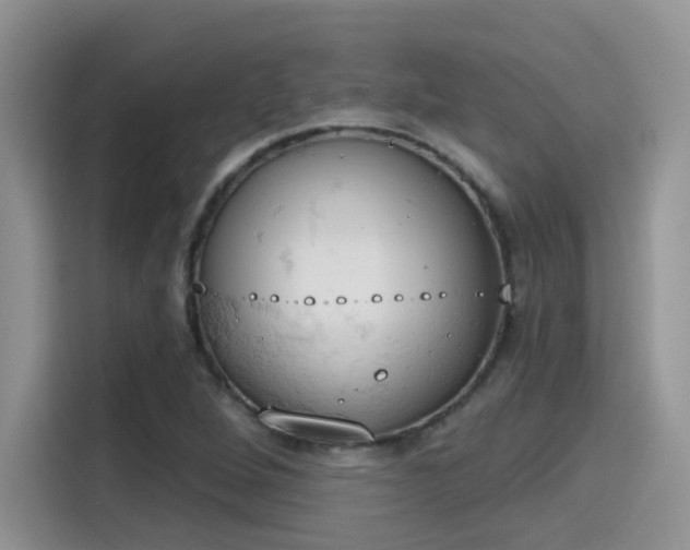X0000115591264200911171022