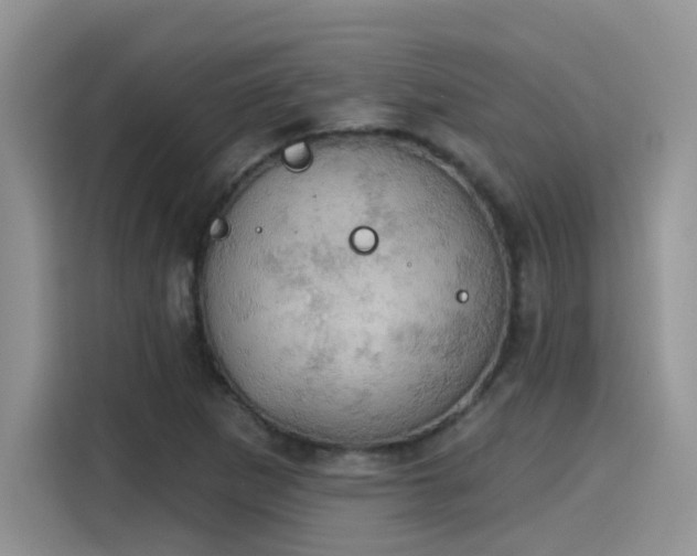 X0000115591265200911171022