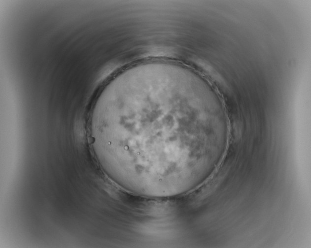 X0000115591266200911171022