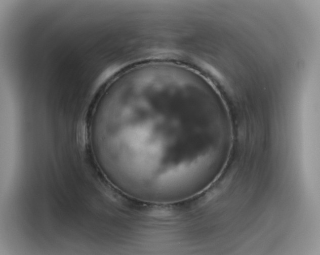 X0000115591267200911171022
