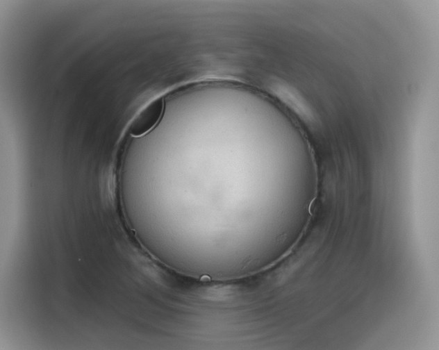 X0000115591268200911171022
