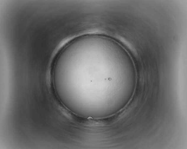 X0000115591270200911171022