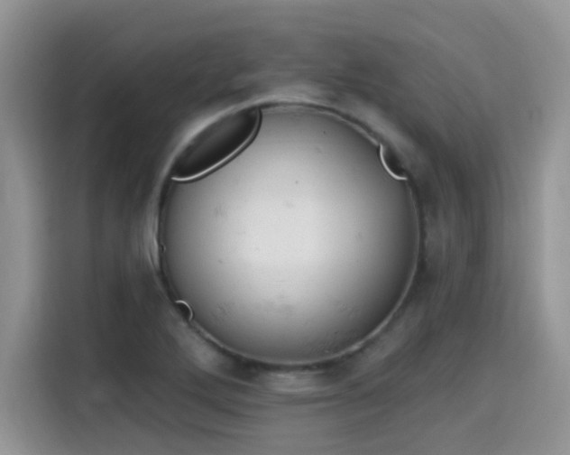X0000115591272200911171022