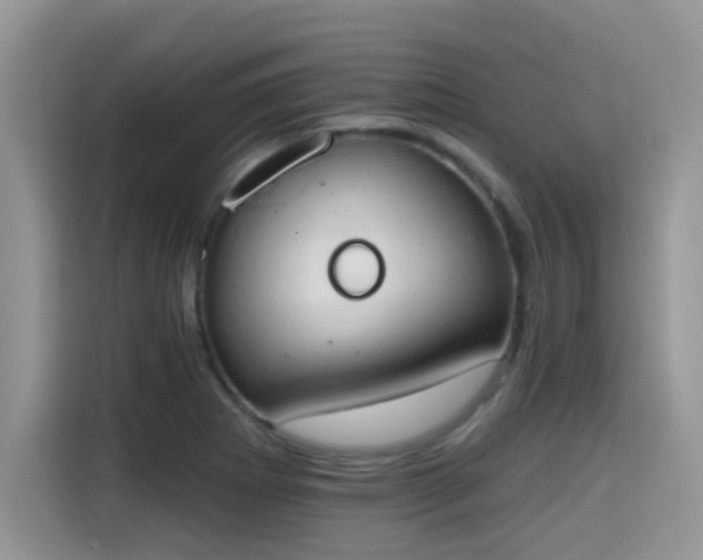 X0000115591273200911171022
