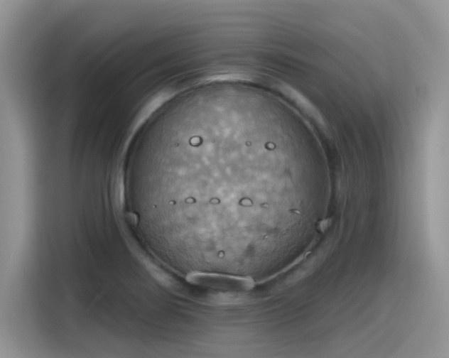 X0000115591274200911171022