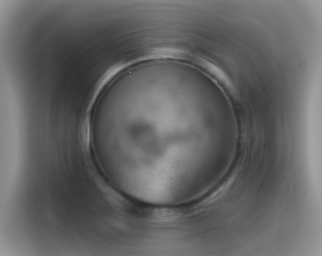 X0000115591275200911171022