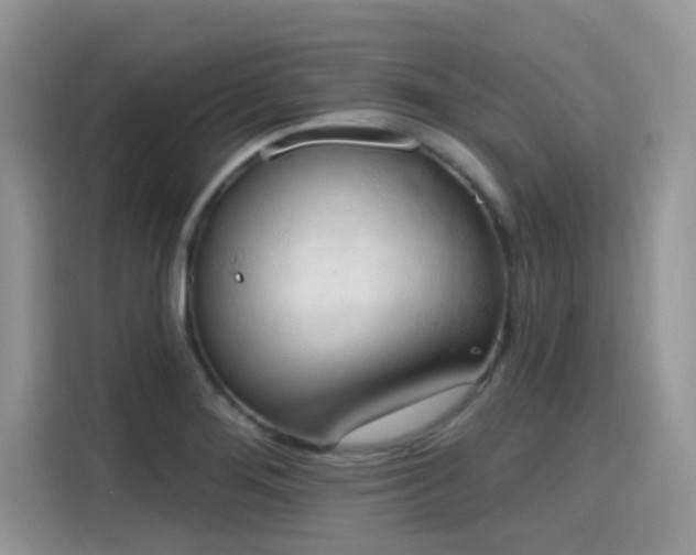 X0000115591276200911171022