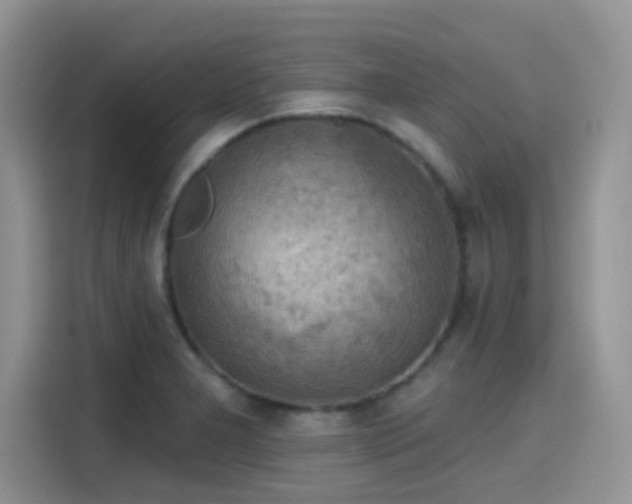 X0000115591277200911171022