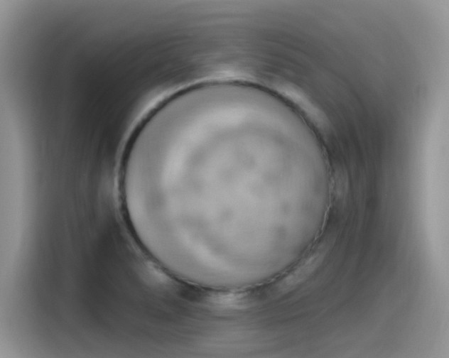 X0000115591278200911171022