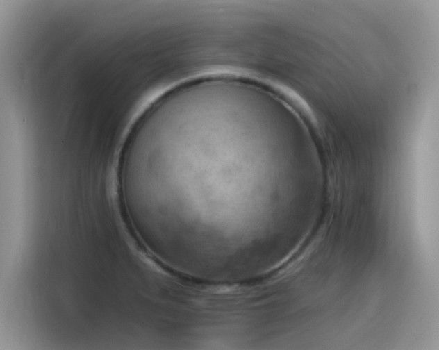 X0000115591279200911171022