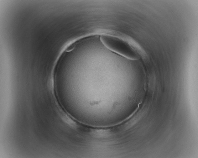 X0000115591280200911171022