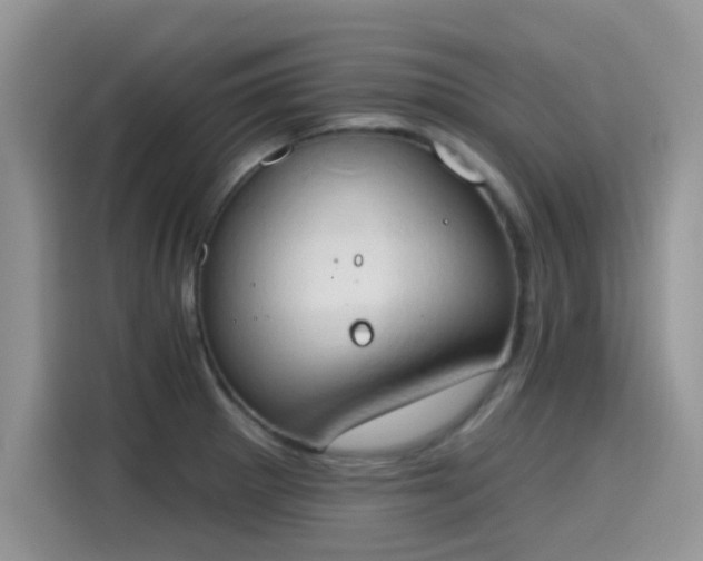 X0000115591281200911171022