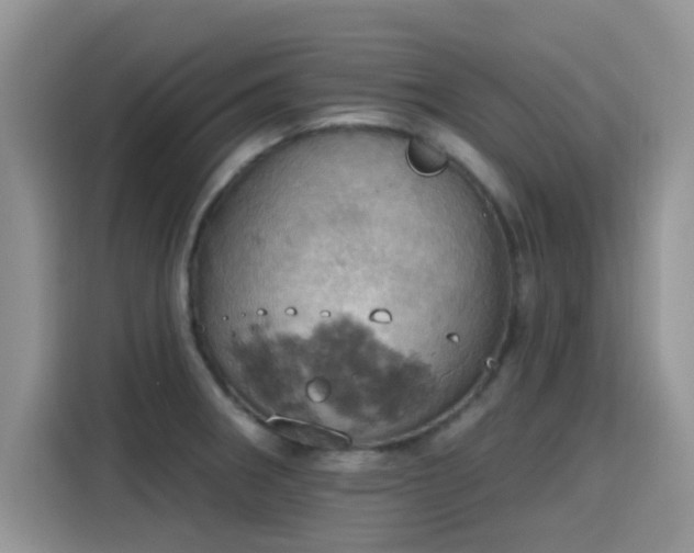 X0000115591282200911171022