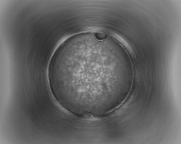 X0000115591283200911171022