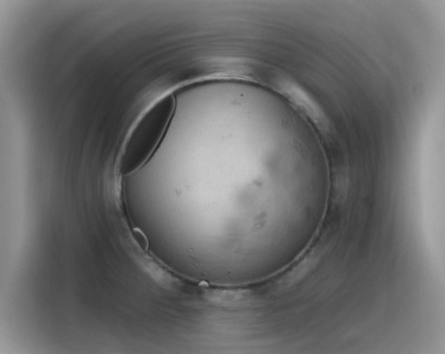 X0000115591284200911171022