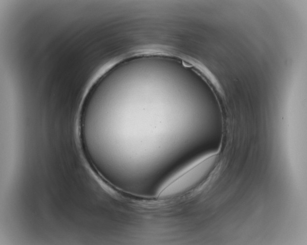 X0000115591285200911171022