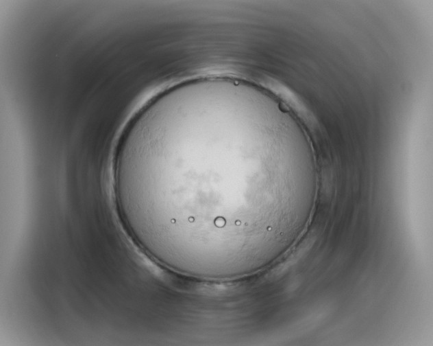 X0000115591286200911171022