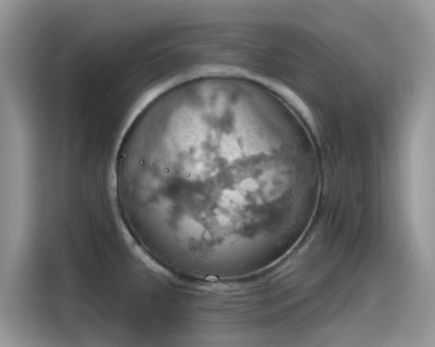 X0000115591287200911171022