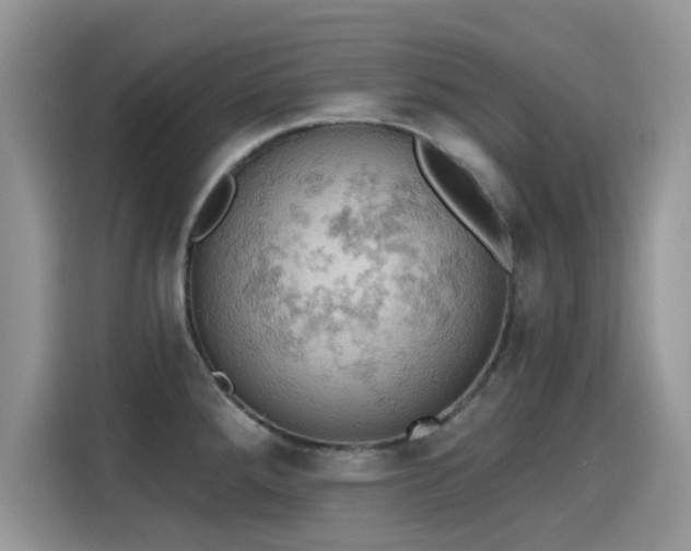 X0000115591288200911171022