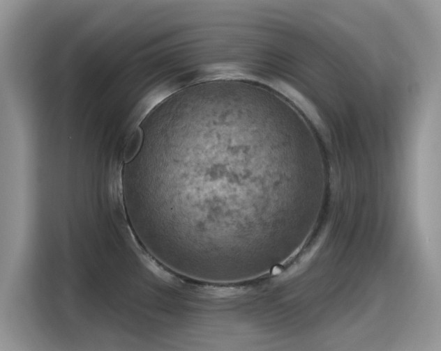 X0000115591289200911171022
