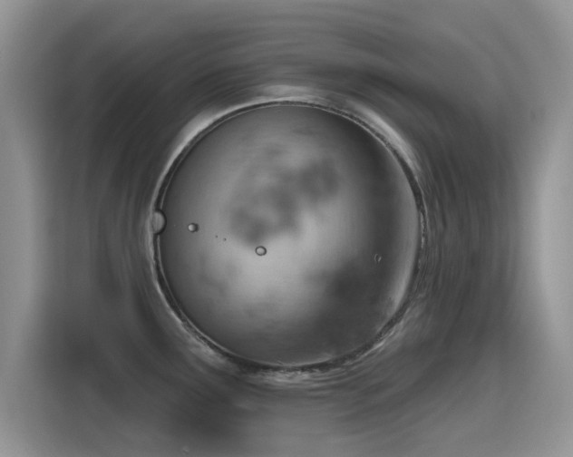 X0000115591291200911171022