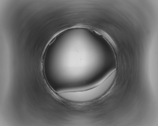 X0000115591292200911171022