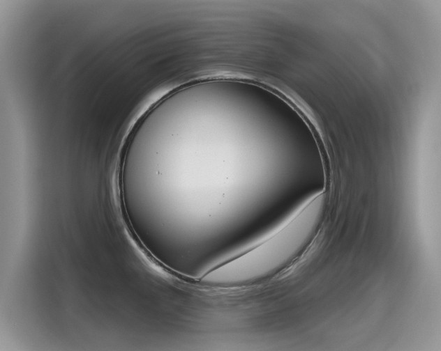 X0000115591293200911171022