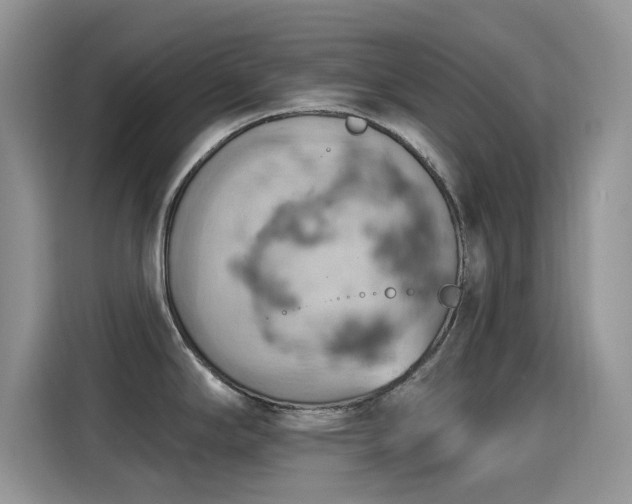 X0000115591294200911171022