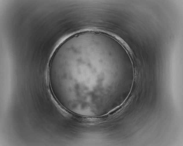 X0000115591295200911171022