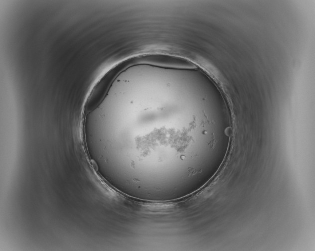 X0000115591296200911171022