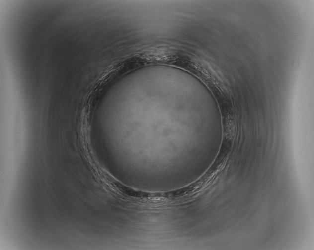 X0000115591297200911171021