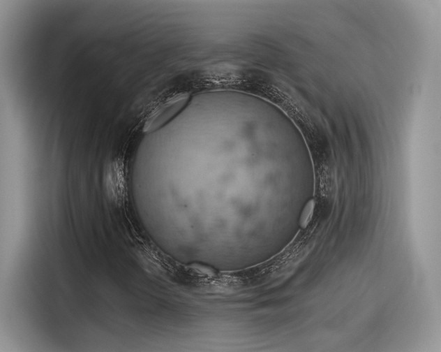 X0000115591298200911171021