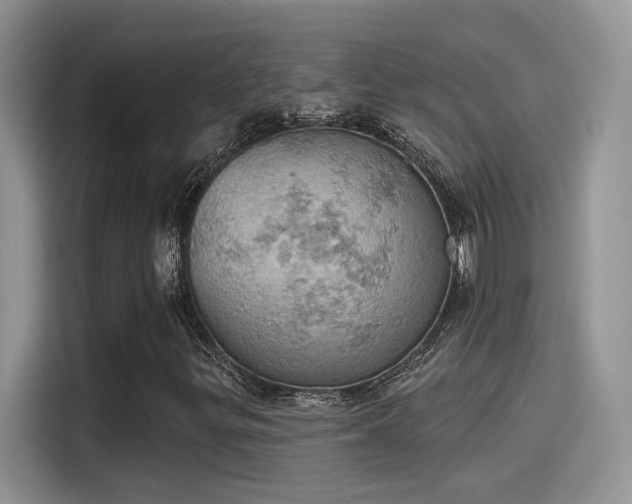 X0000115591299200911171021