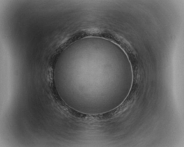 X0000115591301200911171021