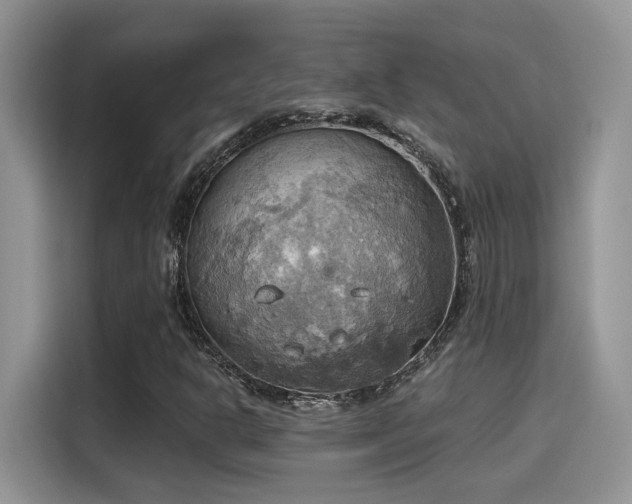 X0000115591302200911171021