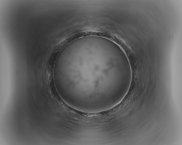 X0000115591303200911171021