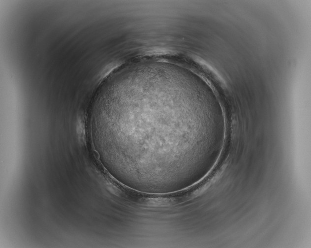 X0000115591305200911171022