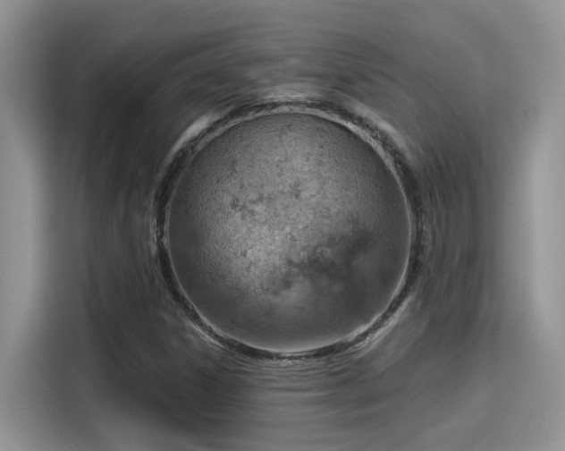 X0000115591306200911171022